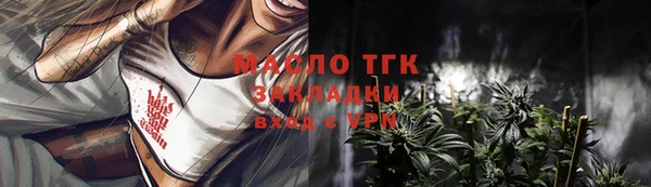 тгк Лагань