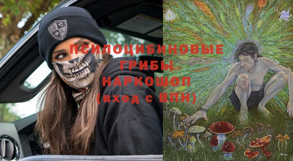 соль ск Липки
