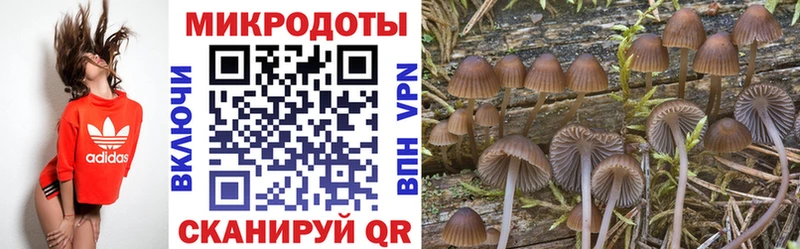 Галлюциногенные грибы Cubensis  хочу наркоту  Магас 